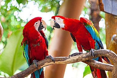 《夜回三》10月27日亚洲上线 支持简体中文